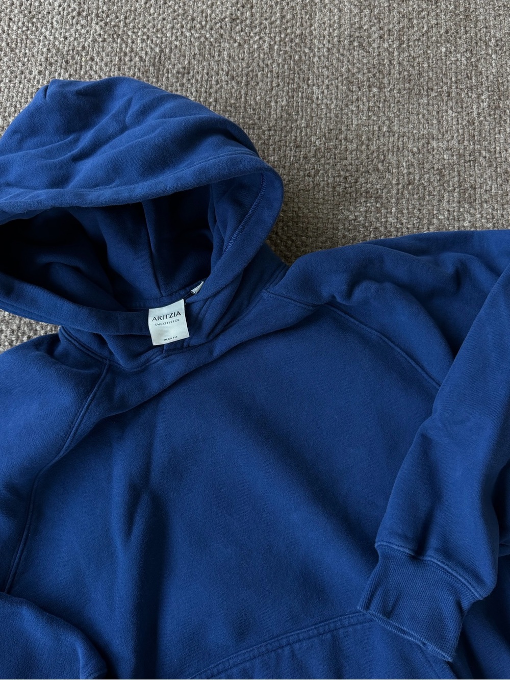 Aritzia TNA Sweatfleece hoodie